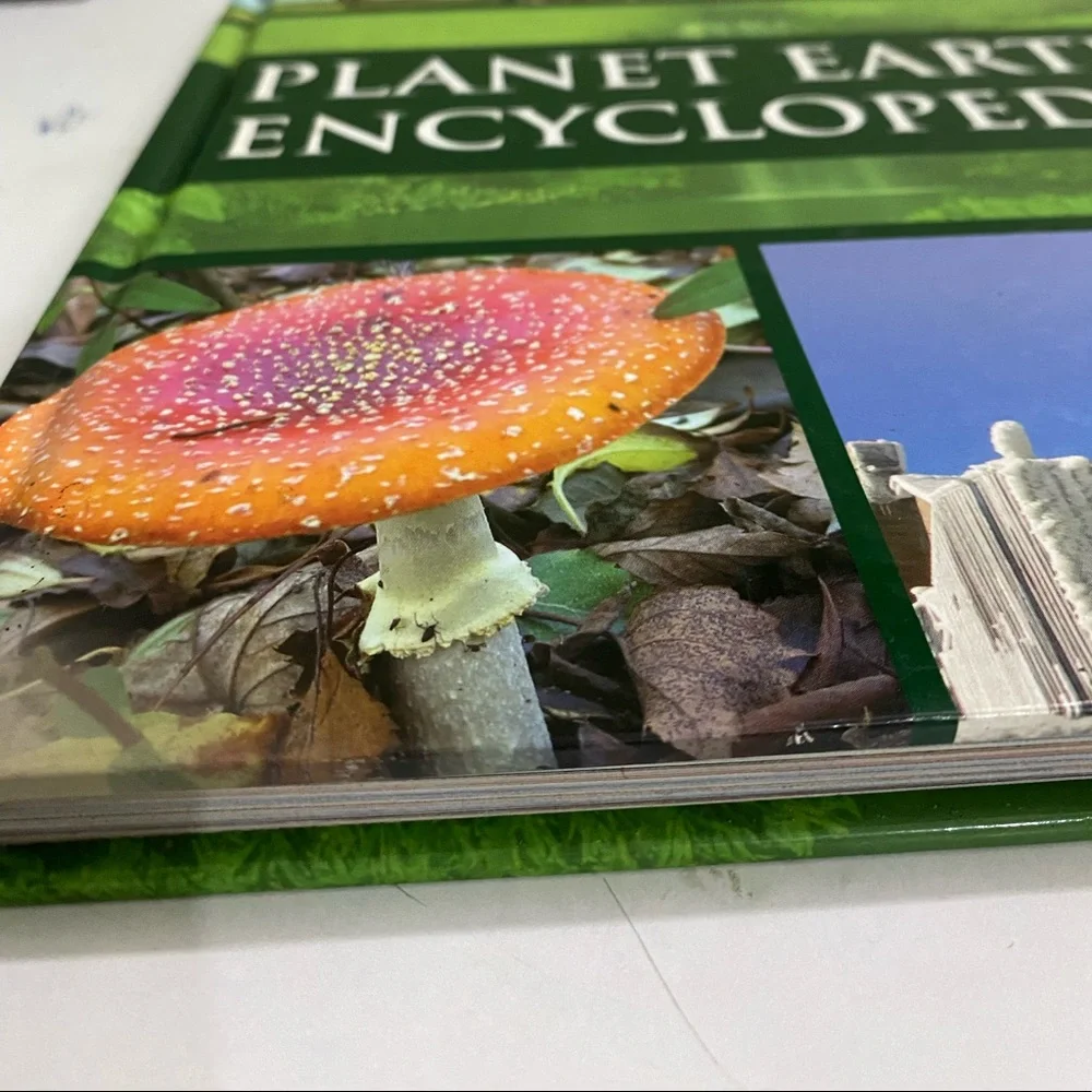 🎁Planet Earth Encyclopaedia - Picture 3 of 4
